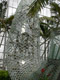 Big metal fish in the Sculpture Garden's atrium