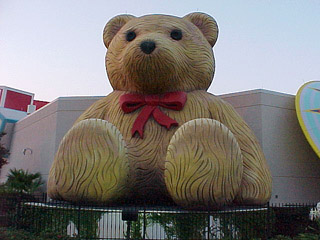 That's one big bear!