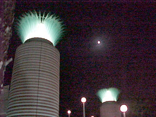Street lamps that looks like palm trees